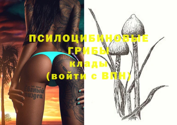каннабис Вяземский