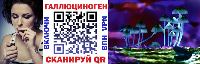 мориарти какой сайт Смоленск Псилоцибиновые грибы GOLDEN TEACHER